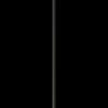 Algorithm Free Pendant