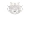 Hope Transparent Ceiling Lamp