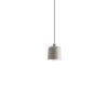 Zile Matt Dove Gray Pendant Lamp