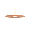 Lake Matt Auburn Pendant