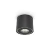 Clic Top Dark Grey Ceiling