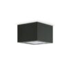 Trend Top Black Ceiling